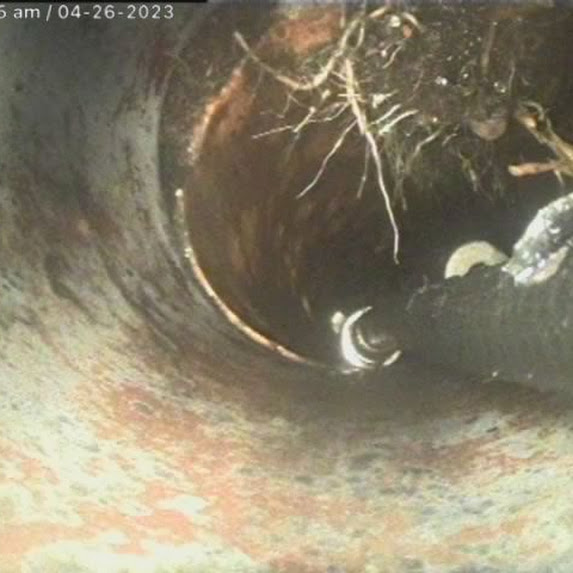 blocked drains Adelaide