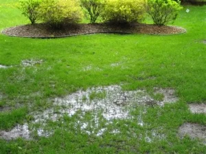 water leak detection Adelaide